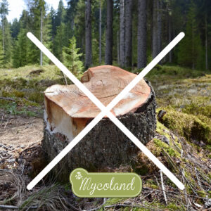 Kännulagundaja